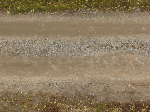 Texture of wet road with mixed, dirt and gravel surface and vegetation at boarders.